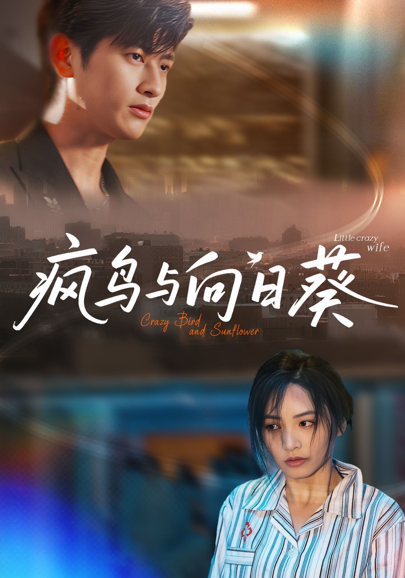 热门短剧疯鸟与向日葵40集韩叙&李虹艺全集完整版免费在线观看未删减版百度网盘夸克网盘资源分享下载  第1张