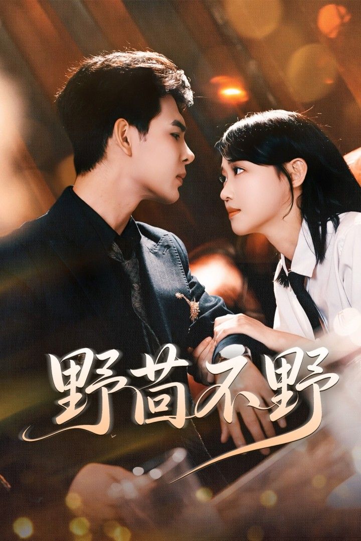 热门短剧野茴不野靳旺龚芳妮主演67集全集未删减超清，免费在线观看，百度夸克网盘资源下载  第1张