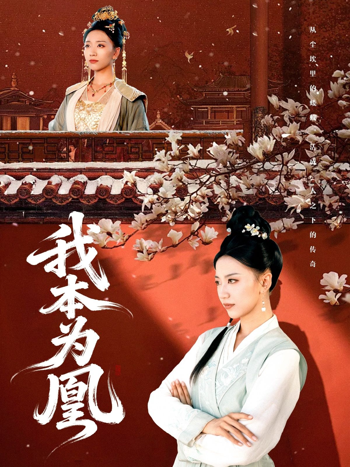 热门短剧我本为凰82集全集傅宇航刘继徽超清未删减版免费在线观看,百度网盘夸克网盘资源分享下载 第1张 热门短剧我本为凰82集全集傅宇航刘继徽超清未删减版免费在线观看,百度网盘夸克网盘资源分享下载 第1张