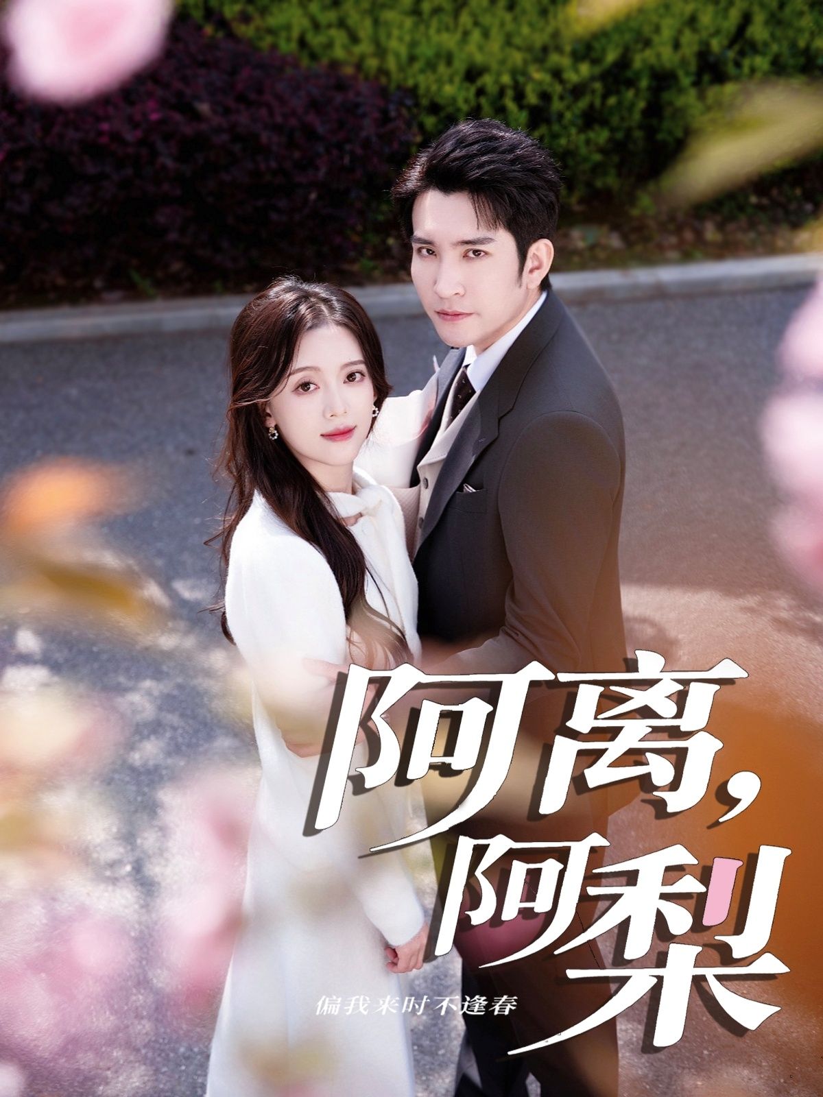 阿离阿梨60集王已歌唐敬主演全集完整版免费在线观看未删减版百度网盘夸克网盘资源下载 第1张 阿离阿梨60集王已歌唐敬主演全集完整版免费在线观看未删减版百度网盘夸克网盘资源下载 第1张