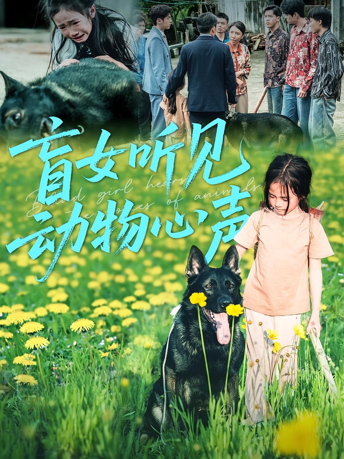 热门短剧盲女听见动物心声61集全集完整版免费在线观看未删减版，百度网盘夸克网盘免费资源下载  第1张