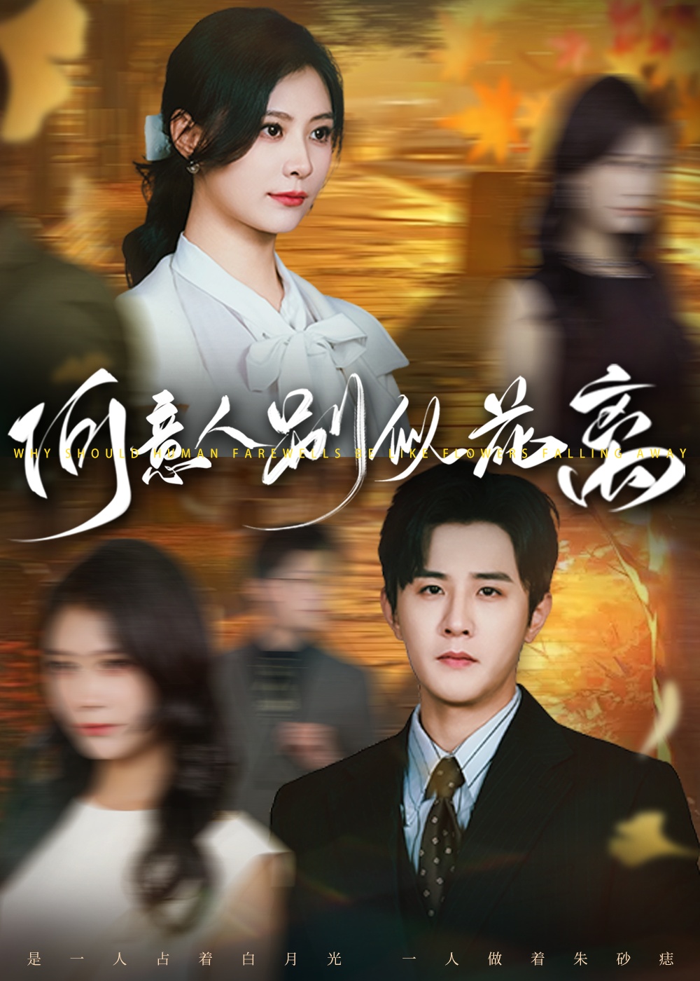 何意人别似花离全集免费在线观看,高清画质完整版,大结局震撼揭晓 第1张 何意人别似花离全集免费在线观看,高清画质完整版,大结局震撼揭晓 第1张