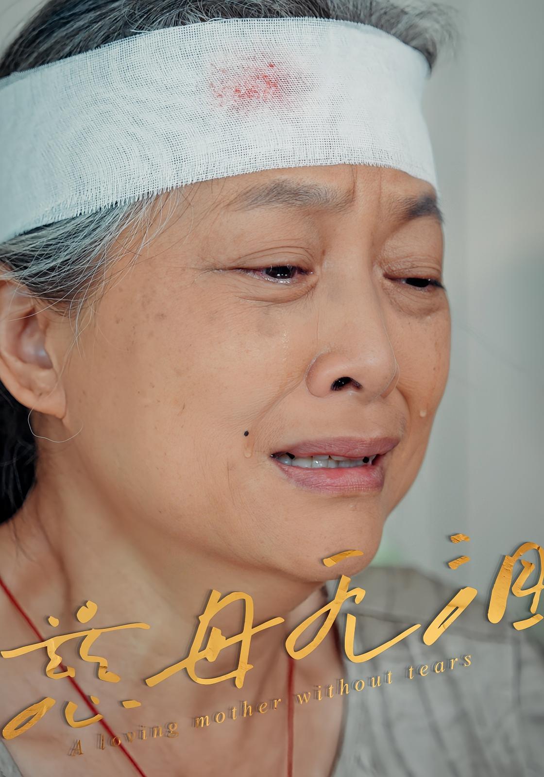 热门短剧慈母无泪30集全集完整版未删减免费在线观看,百度网盘夸克网盘资源分享下载,最新高清播放资源 第1张 热门短剧慈母无泪30集全集完整版未删减免费在线观看,百度网盘夸克网盘资源分享下载,最新高清播放资源 第1张