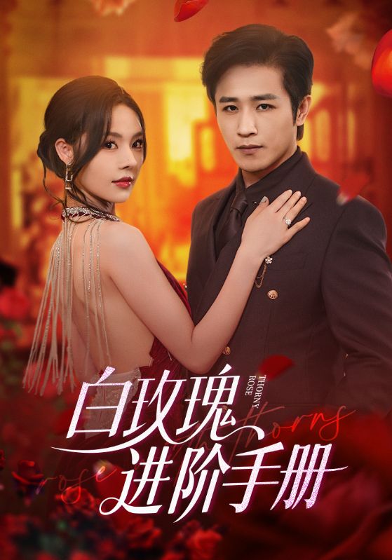 白玫瑰进阶手册64集全集古铭瀚赵西主演免费无需注册在线观看未删减版 百度网盘夸克网盘资源下载 第1张 白玫瑰进阶手册64集全集古铭瀚赵西主演免费无需注册在线观看未删减版 百度网盘夸克网盘资源下载 第1张