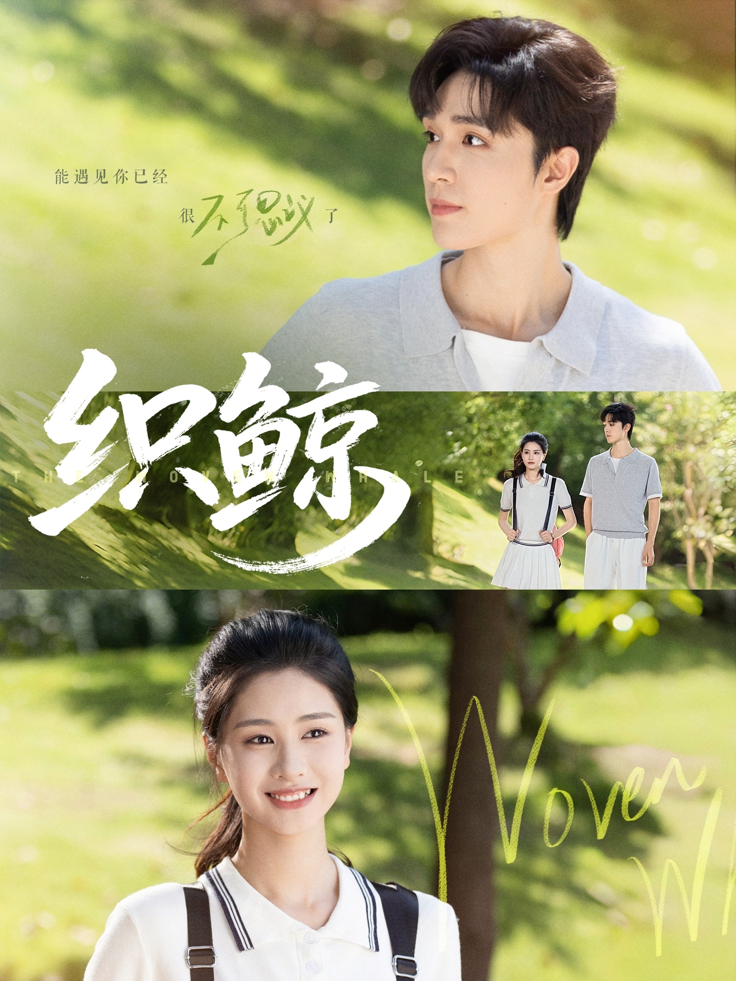 热门短剧织鲸86集全集完整版未删减 梁思伟朱小雪主演 免费在线观看 百度网盘夸克网盘资源下载  第1张