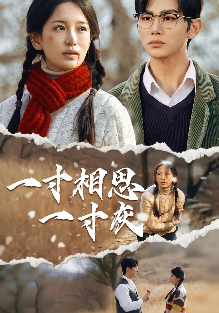 热门短剧《一寸相思一寸灰(43集)》 全集完整版高清免费在线观看播放未删减版资源,短剧百度网盘夸克网盘免费资源分享下载