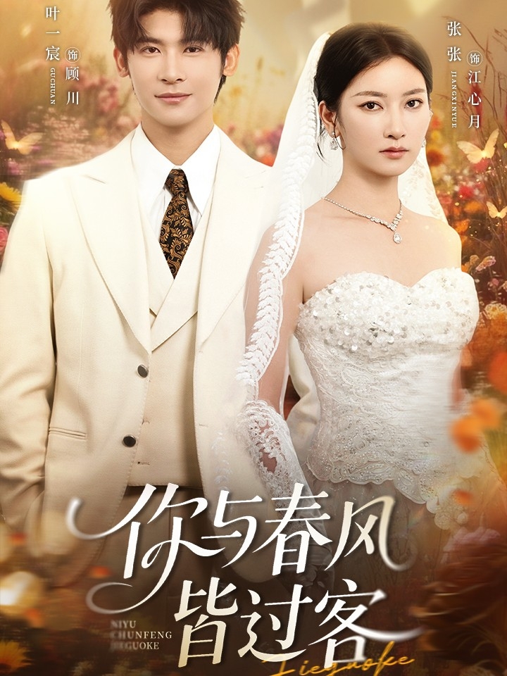 你与春风皆过客叶一宸张玉娇66集全集免费无水印未删减版在线观看，百度网盘夸克网盘资源分享下载  第1张
