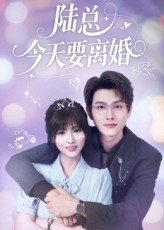 陆总今天要离婚陈凯洲李泫逸主演81集全集未删减版,免费在线观看+百度夸克网盘资源下载 第1张 陆总今天要离婚陈凯洲李泫逸主演81集全集未删减版,免费在线观看+百度夸克网盘资源下载 第1张
