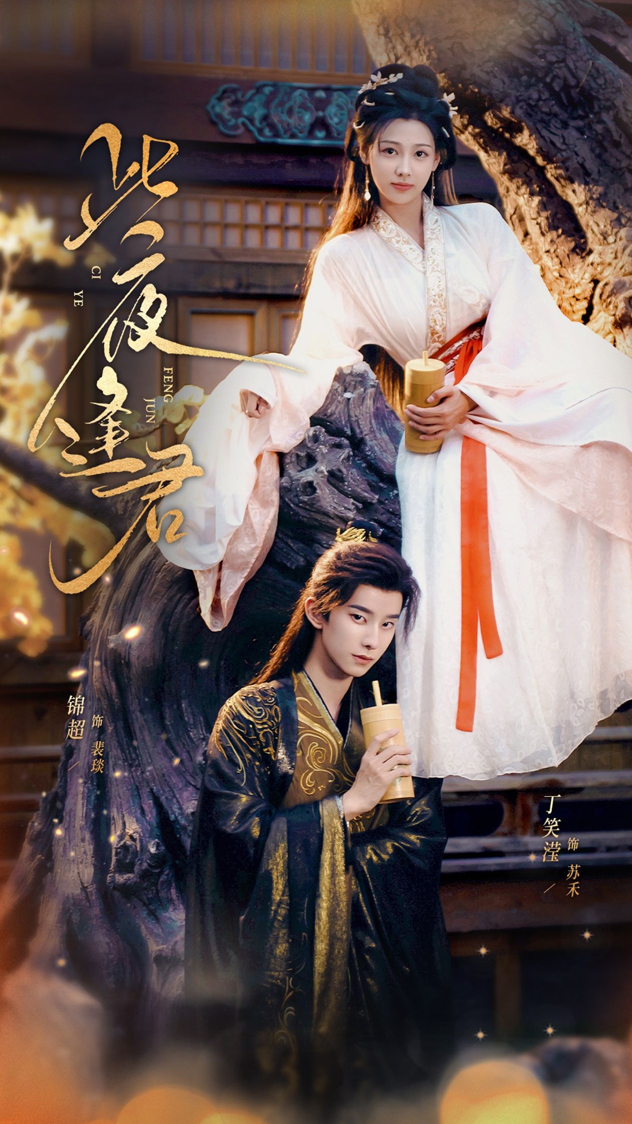 热门短剧此夜逢君76集锦超丁笑滢全集免费无水印未删减版在线观看百度夸克网盘下载  第1张