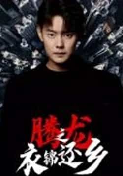 热门短剧腾龙之衣锦还乡30集邱浩轩主演，全集完整版纯净免费在线观看未删减，百度网盘夸克网盘免费资源分享下载  第1张