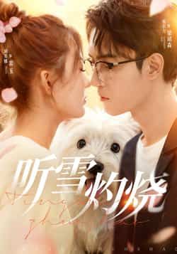 热门短剧听雪灼烧(68集)希尔力刘美娜主演,全集完整版未删减免费在线观看,百度网盘夸克网盘免费资源分享下载 第1张 热门短剧听雪灼烧(68集)希尔力刘美娜主演,全集完整版未删减免费在线观看,百度网盘夸克网盘免费资源分享下载 第1张