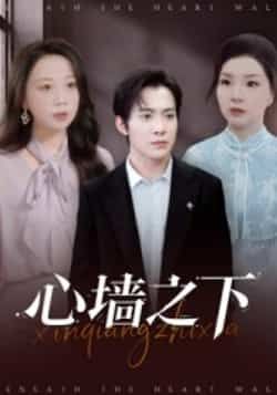 热门短剧心墙之下43集赵宏甲郑抒淼主演 全集完整版未删减 免费在线观看 百度夸克网盘资源下载分享  第1张