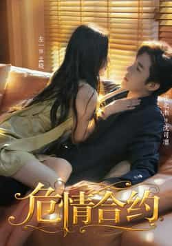 危情合约短剧全集完整版超清未删减免费在线观看，百度网盘/夸克网盘资源下载  第1张