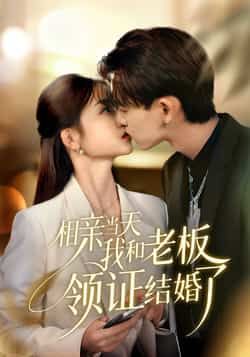 相亲当天我和老板领证结婚了全集完整版免费在线观看未删减版，百度网盘夸克网盘资源免费分享下载  第1张