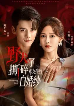 热门短剧野犬撕碎了那女孩的白婚纱全集未删减免费在线观看，百度网盘夸克网盘资源分享下载  第1张