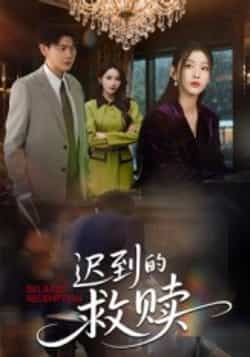 热门短剧迟到的救赎最新全集完整版免费在线观看，未删减版资源分享，百度网盘夸克网盘下载直达  第1张