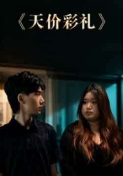 热门短剧天价彩礼全集完整版免费在线观看未删减版，百度网盘夸克网盘免费资源分享下载  第1张