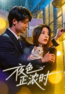 热门短剧夜色正浓时全集完整版实时更新，免费在线观看未删减版，百度网盘夸克网盘资源分享下载  第1张