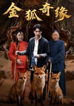 热门短剧金狐奇缘全集完整版未删减版免费无水印在线观看 百度网盘夸克网盘免费资源分享下载 第1张 热门短剧金狐奇缘全集完整版未删减版免费无水印在线观看 百度网盘夸克网盘免费资源分享下载 第1张