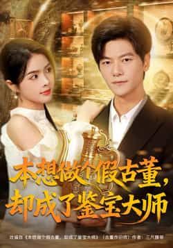热门短剧本想做个假古董，却成了鉴宝大师全集完整版未删减版免费在线观看，百度网盘/夸克网盘资源分享下载  第1张