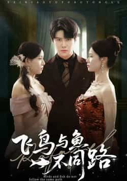热门短剧飞鸟与鱼不同路全集完整版免费无卡顿在线观看，未删减版资源，百度网盘夸克网盘免费下载分享  第1张