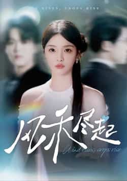 热门短剧风禾尽起全集完整版免费无水印在线观看 未删减版资源 百度网盘夸克网盘免费资源分享下载