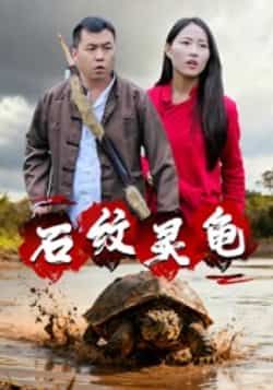 热门短剧石纹灵龟全集完整版免费在线观看播放 未删减版资源 百度网盘夸克网盘免费资源秒存分享下载  第1张