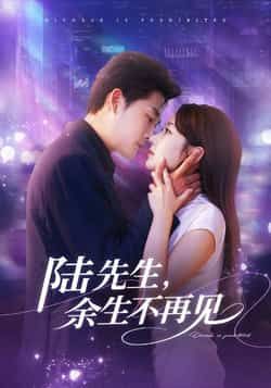热门短剧陆先生，余生不再见全集完整版高清免费在线观看，未删减版资源，百度网盘夸克网盘免费分享下载  第1张