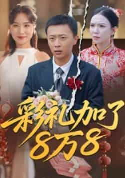 热门短剧彩礼加了8万8全集未删减版免费在线观看，百度网盘夸克网盘纯净资源分享下载  第1张