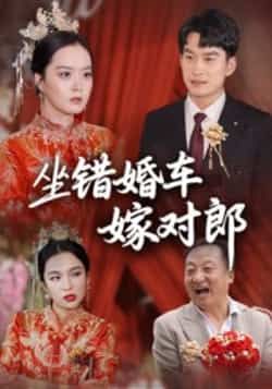 热门短剧坐错婚车嫁对郎全集完整版免费无卡顿在线观看播放，未删减版资源，百度网盘夸克网盘免费分享下载  第1张