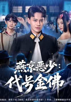 燕京恶少，代号金佛全集完整版高清免费在线观看未删减版，百度网盘夸克网盘免费资源分享下载  第1张