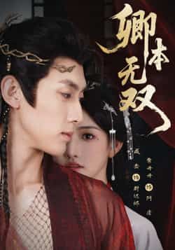 热门短剧卿本无双全集完整版未删减版免费在线观看，百度网盘夸克网盘资源免费分享下载  第1张