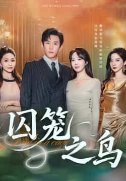 热门短剧囚笼之鸟全集完整版免费在线观看未删减版，百度网盘夸克网盘免费分享资源下载
